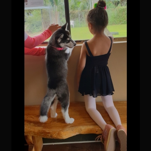 Meet your Posher, Marti leigh - Picture 2 of 6